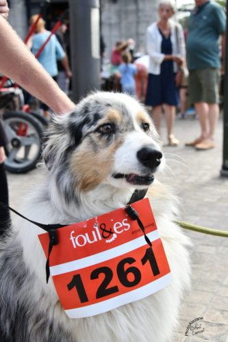 20250928-10-Course-des-Remparts-08232 web